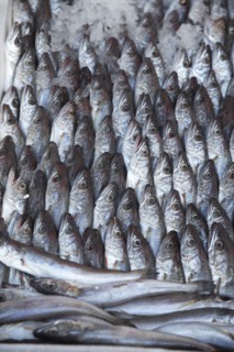 Albania, Tirane, Tirana, Display of sardines for sale in the Avni Rustemi Market.