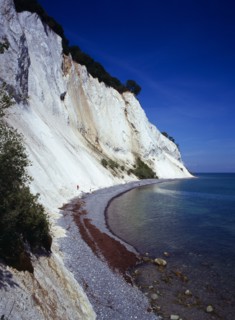 Denmark, Isle of Mon, Mons Klint, East facing chalk sea cliffs with flintstone beach.  Blue sky