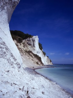 Denmark, Isle of Mon, Mons Klint, East facing chalk sea cliffs with flintstone beach.  Blue sky