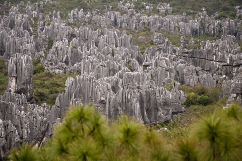 Stone Forest Shilin Yi near Lunan and Kunming. Photo: Mel Longhurst