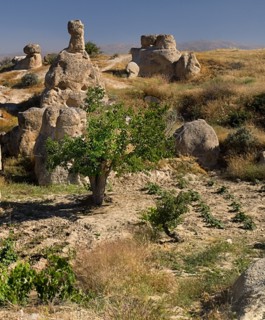 Sword Valley landscape of eroded rock formations.. Photo: Hugh Rooney