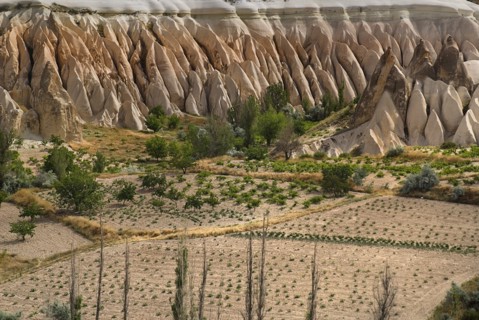 View across Rose Valley in foreground towards Red Valley behind. Cultivated land and eroded peaks