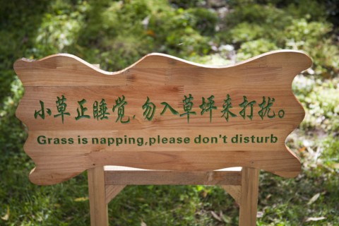 Amusing grass is napping please dont disturb sign. Photo: Mel Longhurst
