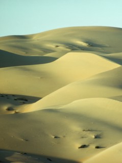 Saudi Arabia, General, Desert landscape with sand dunes. 
Photo : Robin Constable