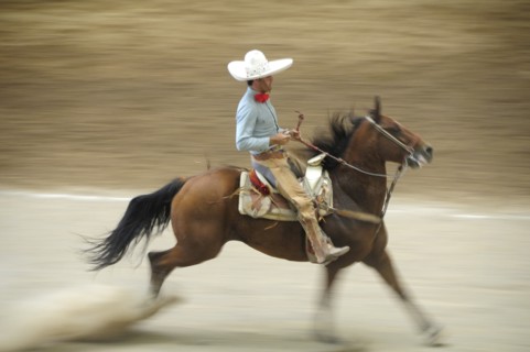 Mexico, Bajio, Zacatecas, Traditional horseman or Charro performing at Mexican rodeo. Single horse