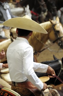 Mexico, Bajio, Zacatecas, Traditional horseman or Charro at Mexican rodeo. Mockford & Bonetti.
