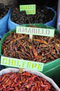 Mexico, Oaxaca, Sacks of dried dried chillies for sale in the market. 
Photo : Nick Bonetti