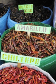 Mexico, Oaxaca, Dried chillies for sale in the market. 
Photo : Nick Bonetti