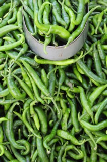 Mexico, Veracruz, Papantla, Green chillies for sale in the market. 
Photo : Nick Bonetti
