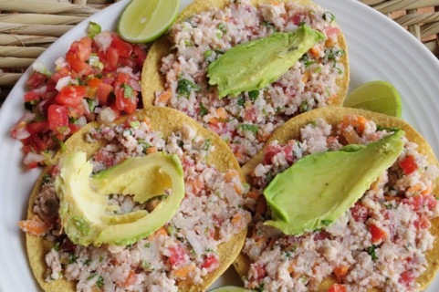 Mexico, Jalisco, Puerto Vallarta, Fish ceviche served with tacos avocado and tomato salsa. 
Photo
