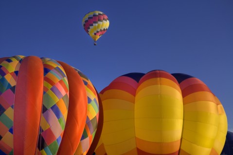 USA, New Mexico, Albuquerque, Annual balloon fiesta colourful hot air balloons in flight. 
Photo :