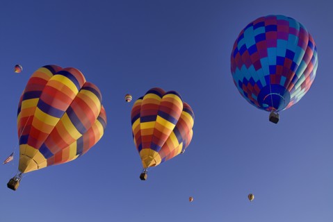 USA, New Mexico, Albuquerque, Annual balloon fiesta colourful hot air balloons ascending. 
Photo :
