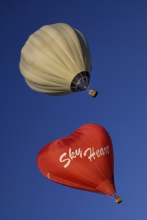 USA, New Mexico, Albuquerque, Annual balloon fiesta colourful hot air balloons. 
Photo : Hugh