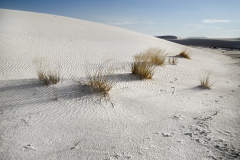 USA, New Mexico, Otero County, White Sands National Monunment. Landscape of wind rippled dune of