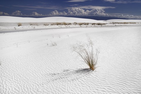 USA, New Mexico, Otero County, White Sands National Monunment. Landscape of wind rippled white sand
