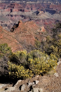USA, Arizona, Grand Canyon, South Rim view from Yavapai Point. 
Photo : Hugh Rooney