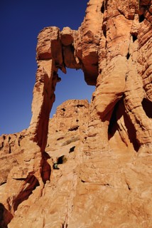 USA, Nevada, Valley of Fire State Park, Elephant shape rock formation. 
Photo : Hugh Rooney