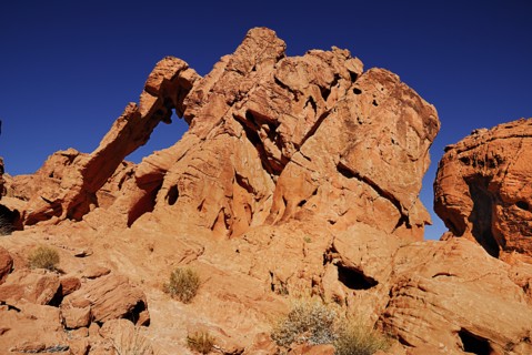 USA, Nevada, Valley of Fire State Park, Elephant shape rock formation. 
Photo : Hugh Rooney