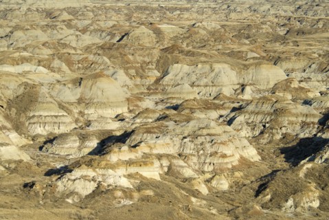 Canada, Alberta, Badlands, Dinosaur Provincial Park near Brooks UNESCO World Heritage Site is one