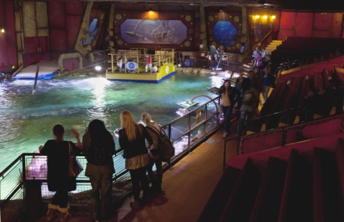 England, East Sussex, Brighton, Interior of the Sea Life Centre underground Aquarium on the
