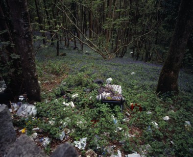 Wales, Gwynedd, Environment, Discarded household and general rubbish dumped in roadside bluebell