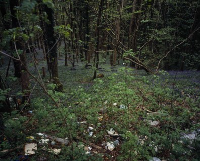 Wales, Gwynedd, Environment, Discarded household and general rubbish dumped in roadside bluebell