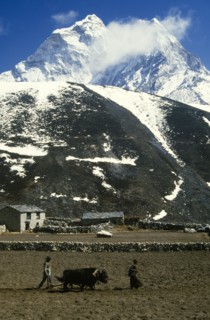 Nepal, Sagarmatha National Park, Dingboche, Man and woman ploughing a potato field below mountain