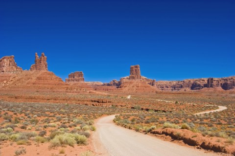 USA, Utah, Valley of the Gods, winding dirt road through the desert landscape. 
Photo : Richard