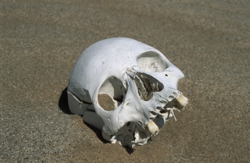 Namibia, Namib Naukluft desert., Skeleton head unearthed as the dunes have shifted. This corpse was