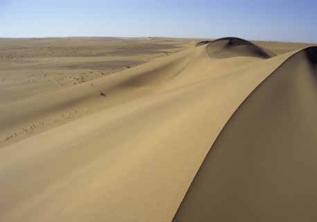 Namibia, Namib, Naukluft Desert, Sand dunes in the De Beers Diamond mining area. 
Photo : Adrian