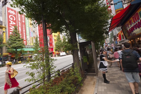 Japan, Honshu, Tokyo, Ginza district girl dressed in French Maids costume handing out flyers.