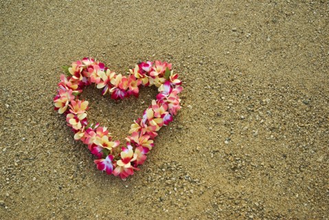USA, Hawaii, Oahu Island, Heart shaped lei on Waikiki beach. 
Photo : Chris Penn