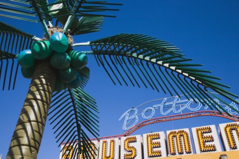 Plastic artificial Palm Tree with amusement arcade behind in clear blue sky.