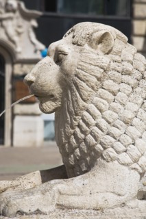 Lion fountain in central Pest.