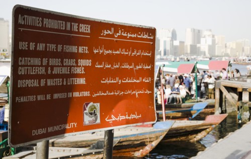 Municipal sign showing rules and penalties on the Creek with skyline behind.