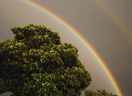 Double rainbow against storm clouds.