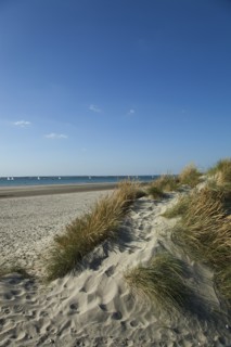 East Head Sand dunes and beach with sunshine and blue sky