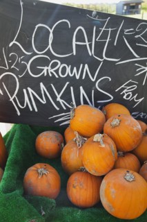Pumpkins for sale at Grange Farms market store.