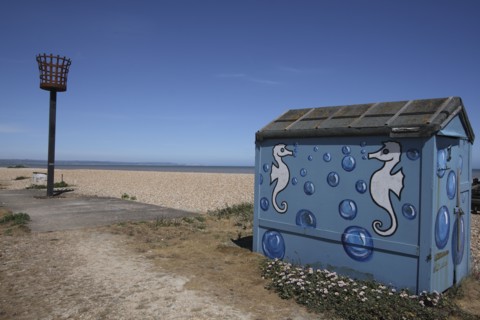 Beach Hut painted with Seahorse design and seafront torch beacon.
