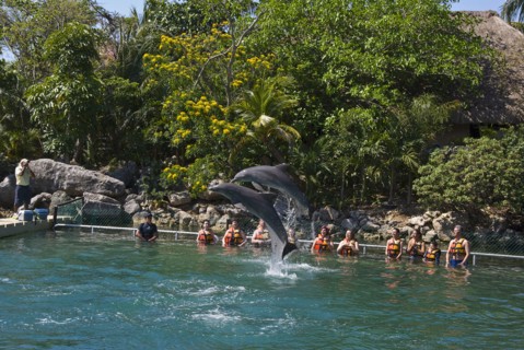 Marina Dolphin Experience.
