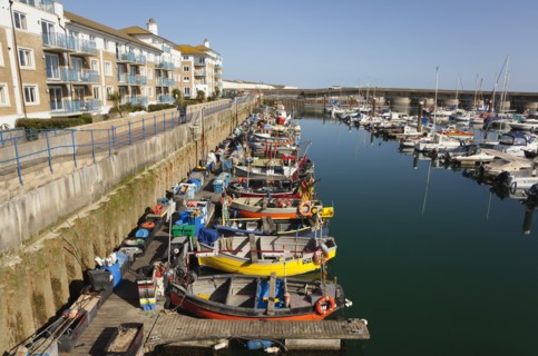 View over fishing boats moored in the Marina with apartment buildings behind.