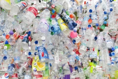 Plastic bottles attached to a wire fence at the WOMAD festival to highlight the need to recycle non-sustaninable materials.