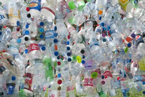 Plastic bottles attached to a wire fence at the WOMAD festival to highlight the need to recycle non-sustaninable materials.
