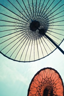 Parasol Looking up at the underside of traditional South East Asian paper parasols.
