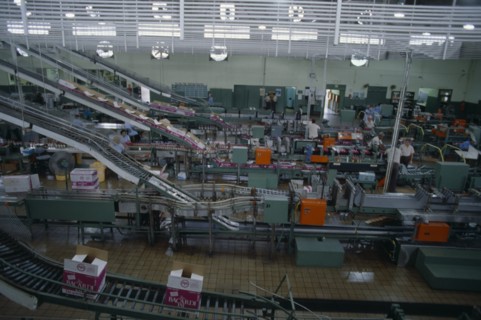 Puerto Rico, Industry, Bacardi factory interior and workers. Photo : Juliet Highet