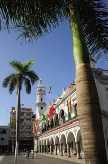 Mexico, Veracruz, Palm trees in the zocalo and government buildings decorated with national colours