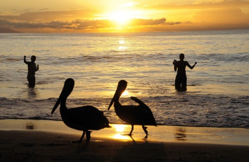 Mexico, Jalisco, Puerto Vallarta, Playa Olas Altas Two pelicans on the beach and two fishermen