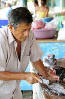 Mexico, Oaxaca, Puerto Escondido, Playa Principal Man preparing fresh fish in the market.. Photo :
