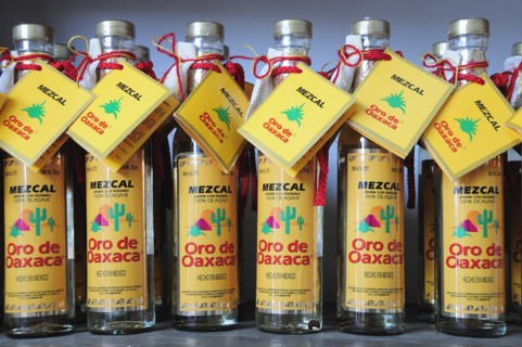 Mexico, Oaxaca, Bottles of locally produced Mezcal. Photo : Nick Bonetti