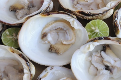 Mexico, Oaxaca, Huatulco, Almejas or clams served in their shells with cut halves of lime. Photo :